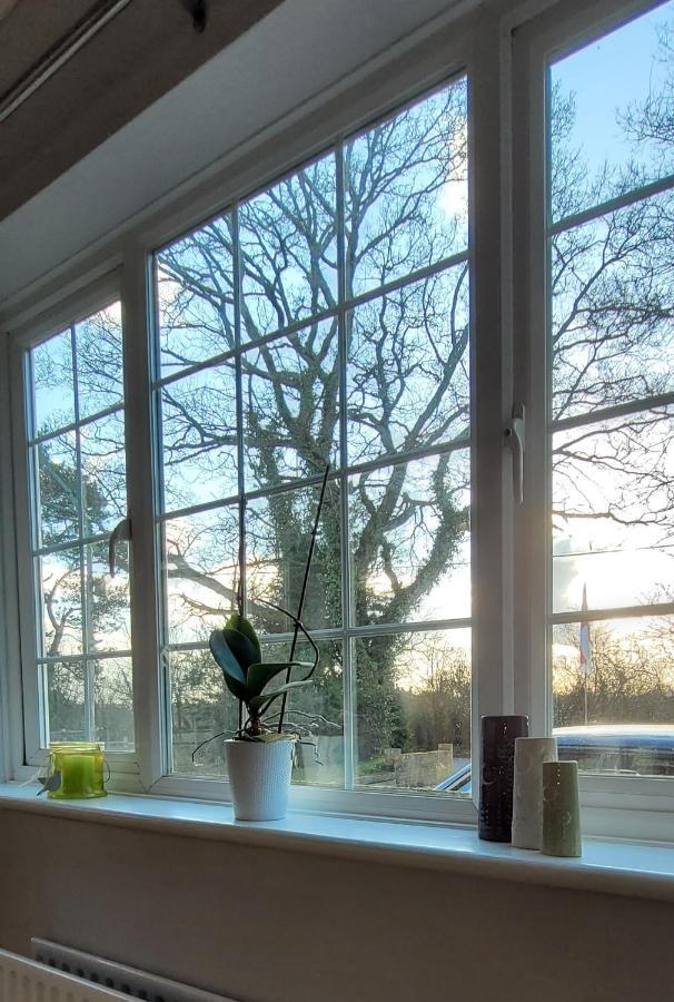 Sherfield English Ha'Penny Acre Bed & Breakfast エクステリア 写真